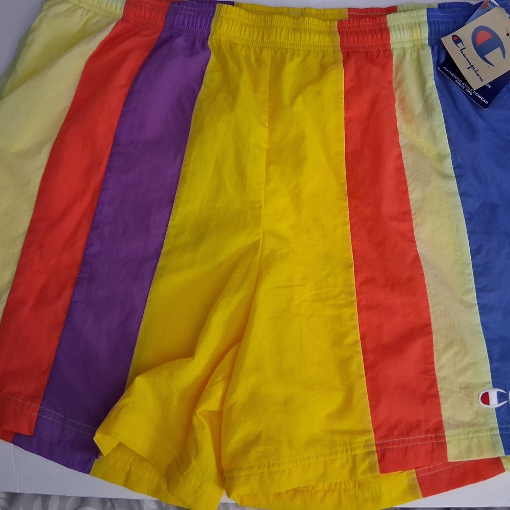 Champion Men's Multi-Color Vertical Stripe Athletic Shorts